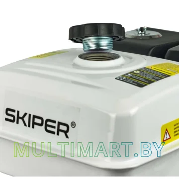 Бензиновый двигатель Skiper N190FL(SFT) картинка 4